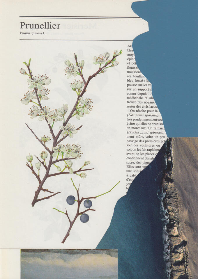 Untitled Untitled